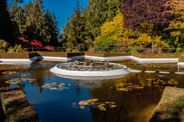 A pond with a fountain in the middle