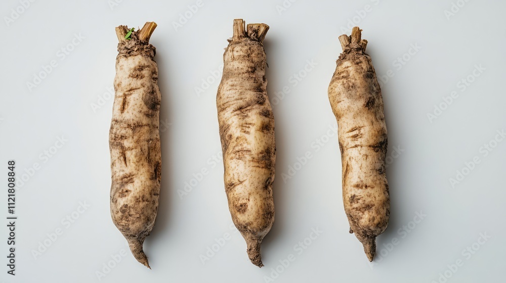 Poster Three whole fresh cassava roots displayed on a clean white background showcasing their unique texture and shape for culinary use.