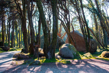 Beautiful natural landscape in the park with big stones and green trees
