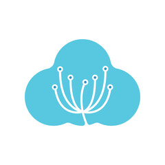 Dandelion Flower Logo Template Icon