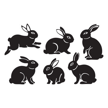 Huge Rabbit Vector