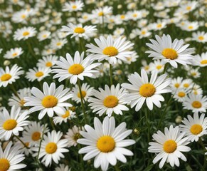 Obraz premium A field of soft yellow and white daisies gently swaying in the wind, blowing flowers, peaceful scene
