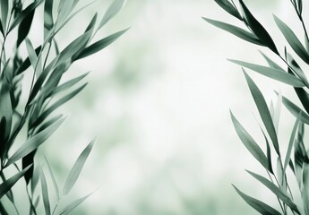 Obraz premium 自然の中での柔らかい光が差し込む葉の背景