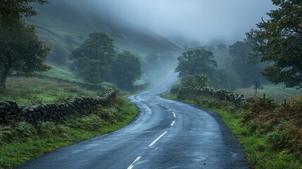 A country road in the middle of a foggy landscape