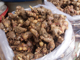 Kencur or cikur (Kaempferia galanga) is a plant that has stem roots embedded in the ground, usually...