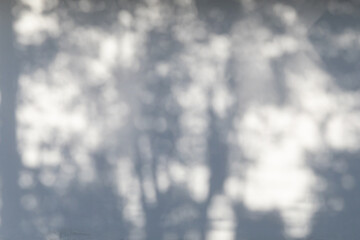 A blurry image of trees and leaves shadow on a white concrete background.