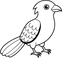 cute asian koel line art silhouette