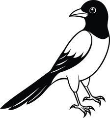 Obraz premium cute Asian koel line art silhouette