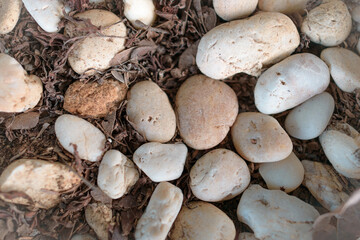 Beautiful white stones placed on the ground.
