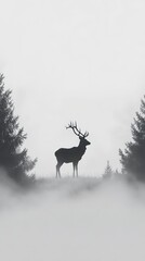 Silhouetted Deer Standing in a Misty Forest Clearing  Mystical Foggy Mornings, Winter season, Happy New Year, Happy Christmas 
