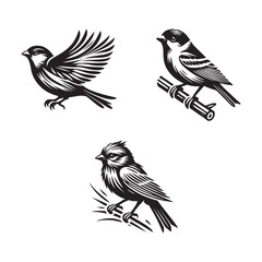 Canary Silhouette Vector Set &ndash; Elegant Bird Illustrations for Creative Designs