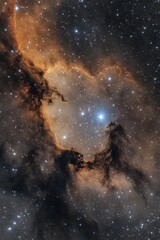 Fototapeta premium Starry Night Sky