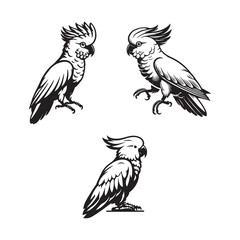 Cockatoo Silhouette Vector Set – Exotic Bird Illustrations for Creative Design