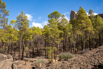 Roque Nublo (Clouded Rock, Rock in the Clouds) is a volcanic rock on the island of Gran Canaria, Canary Islands, Spain.