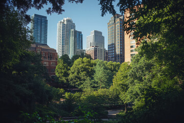 Fototapeta premium A serene urban park scene amidst towering skyscrapers and lush greenery.