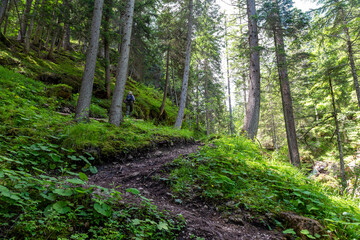 Obraz premium Gorges of Federa tourist trail. Dolomites mountains. Italy