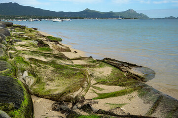 Geotextile bags filled with sand placed along the shoreline for coastal protection against flooding and erosion at La Mivoie beach, Mauritius