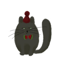 Christmas cat 
