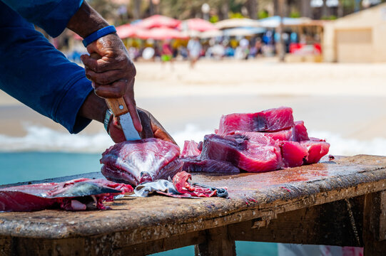 Close up on fisherman's hands, cutting tuna, its fresh catch in fillet directly on the pier, Cape Verde