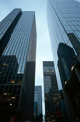 Fototapeta premium Buildings in a city