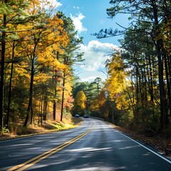Obraz premium Scenic Road Surrounded by Autumn Trees