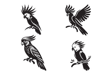 Obraz premium Vector Set of Cockatoo Parrot Silhouettes Graceful Bird Designs on White Background