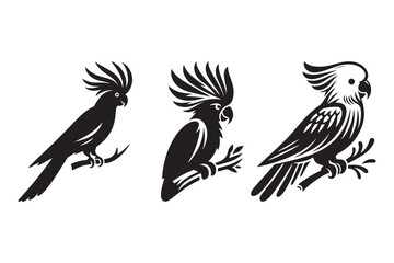 Obraz premium Cockatoo Silhouette Icons Unique Parrot Illustrations in Black and White
