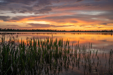 Sunset landscape in Wellen park in North Port, Florida. Beautiful lake nature in evening