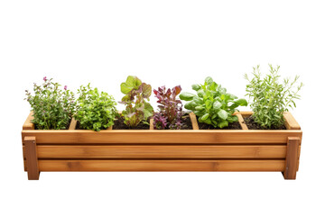 A wooden planter box filled with various fresh herbs and leafy greens on a white isolated background.