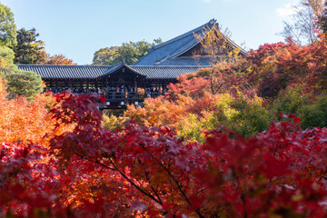東福寺・京都・紅葉