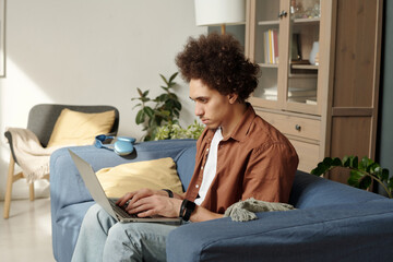 Serious young freelancer or solopreneur sitting on couch in living room and looking at laptop screen during network