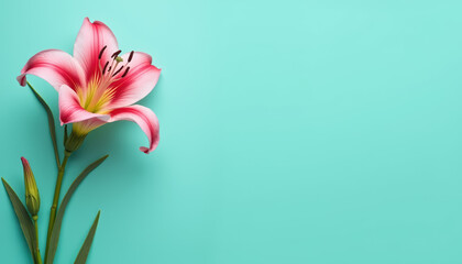 Obraz premium An aqua background showcasing beautiful Lilies, ideal for cheerful messages and artistic designs.