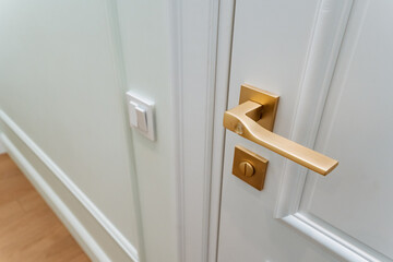 The image shows a beautifully crafted door handle on a pristine white door, highlighting its elegance and functionality, enhancing the aesthetic appeal of a typical household