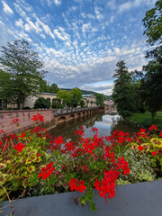 Fototapeta premium A picturesque view of a river with red geraniums in the foreground and a bridge in the background. The sky is covered with white clouds, surrounded by green trees and classical architecture