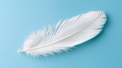 Obraz premium Serene White Feather Floating on Pastel Blue, Symbolizing Purity and Lightness