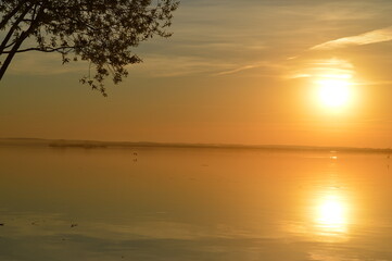 Fototapeta premium Summer Sunset Over the Lake. A tranquil scene of a summer sunset over a calm lake, bathed in warm orange and golden tones. 