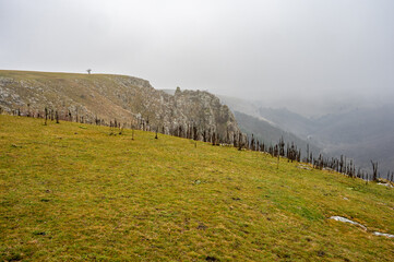 Misty fog envelops the stunning landscape of tureni gorges, a breathtaking canyon carved by the Racilor river in transylvania, romania