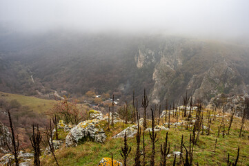 Fog is covering the valley of turenilor gorge in cluj county, romania, during a cold and cloudy day