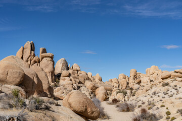 Weathered Granitic Rocks. White Tank Quartz Monzonite. White Tank Campground，Joshua Tree National...