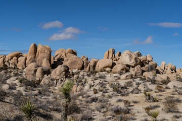 Weathered Granitic Rocks. White Tank Quartz Monzonite. White Tank Campground，Joshua Tree National Park, California geology. Mojave Desert