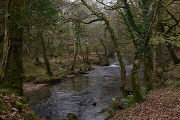 a view of the river Walkham in Devon headed towards double waters where it will meet the river Tavy