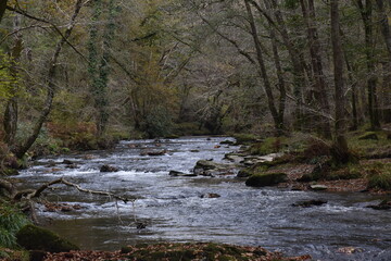 a view of the river Walkham in Devon headed towards double waters where it will meet the river Tavy