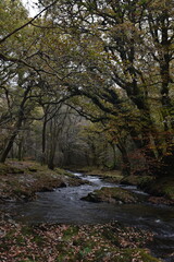a view of the river Walkham in Devon headed towards double waters where it will meet the river Tavy