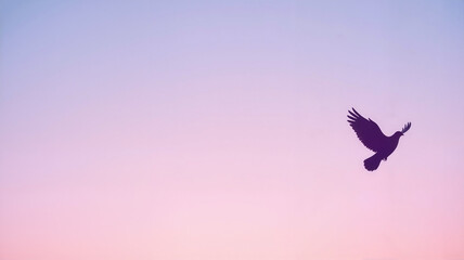 Fototapeta premium Bird flying in pink and purple sky