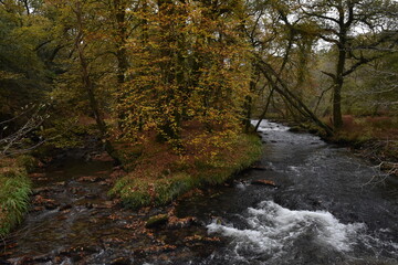 a view of the river Walkham in Devon headed towards double waters where it will meet the river Tavy