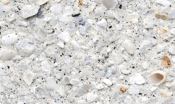 Close-up of seashell-embedded surface.