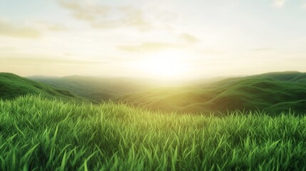 Obraz premium Lush green grass with sunrise in the background.