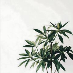 a very detailed green plant against a white background focus inspire lo fi vibes minimalistic but warm