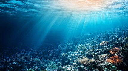 Fototapeta premium Half-Living Coral Reef Ecosystem Showing Climate Change Impact