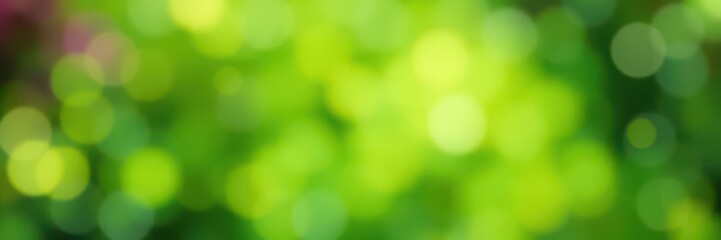 Obraz premium Green bokeh background with soft blurry shapes and vibrant colors, perfect for adding a dreamy and natural touch to any project, background, blurry
